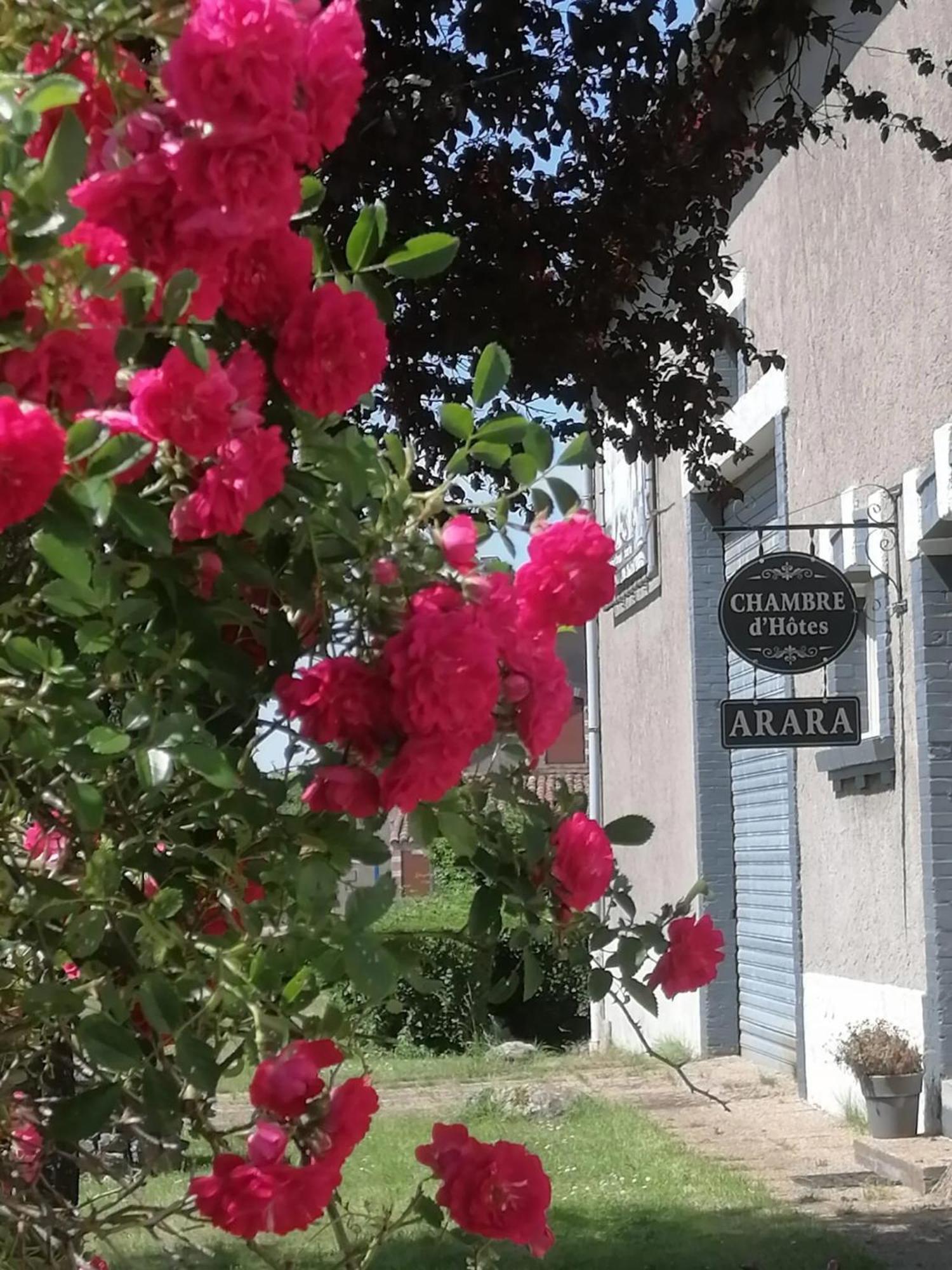 Arara Bed & Breakfast Montfaucon-d'Argonne Luaran gambar